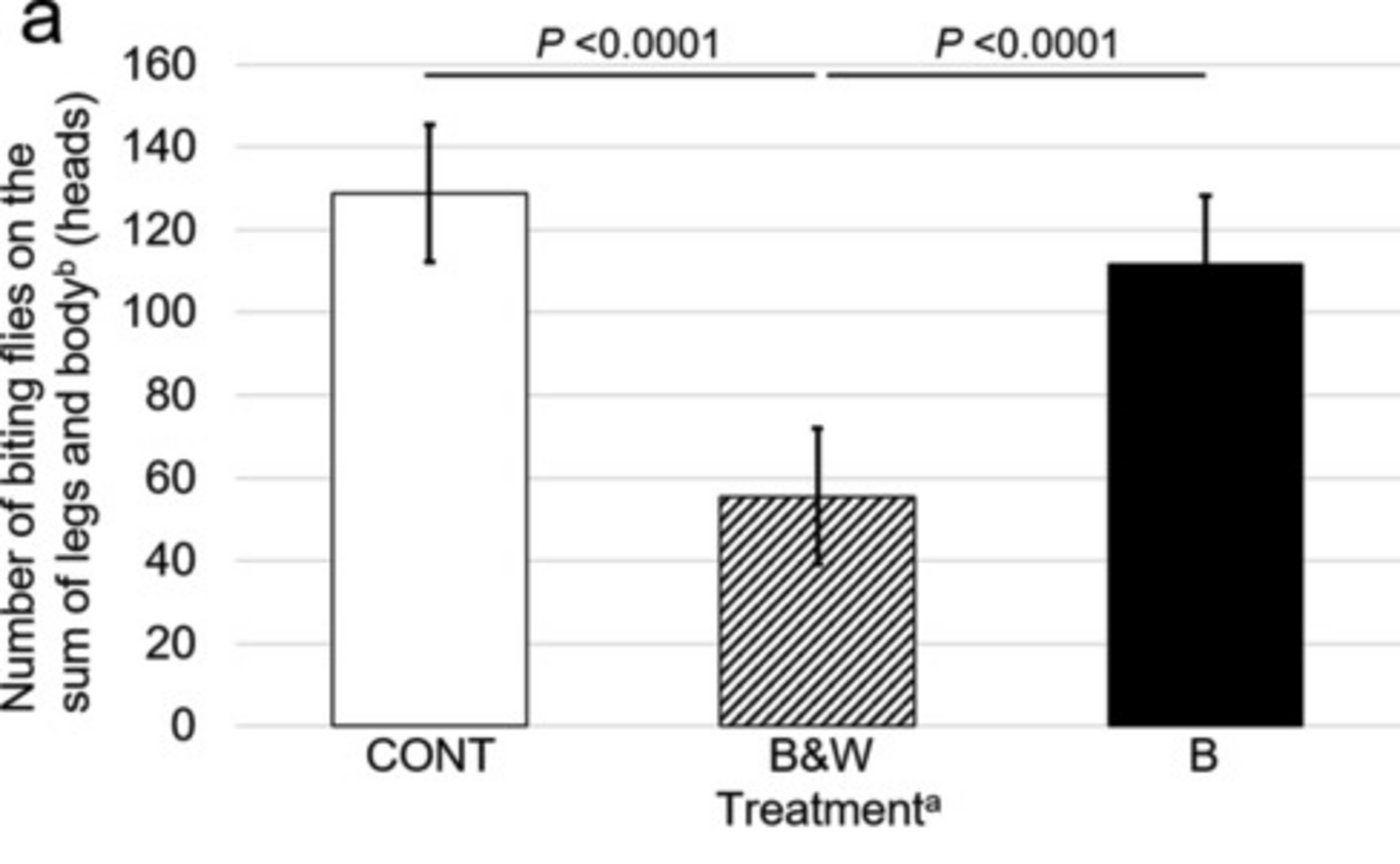 Auf gestreiften Tieren landeten weniger Insekten als auf unbemalten.