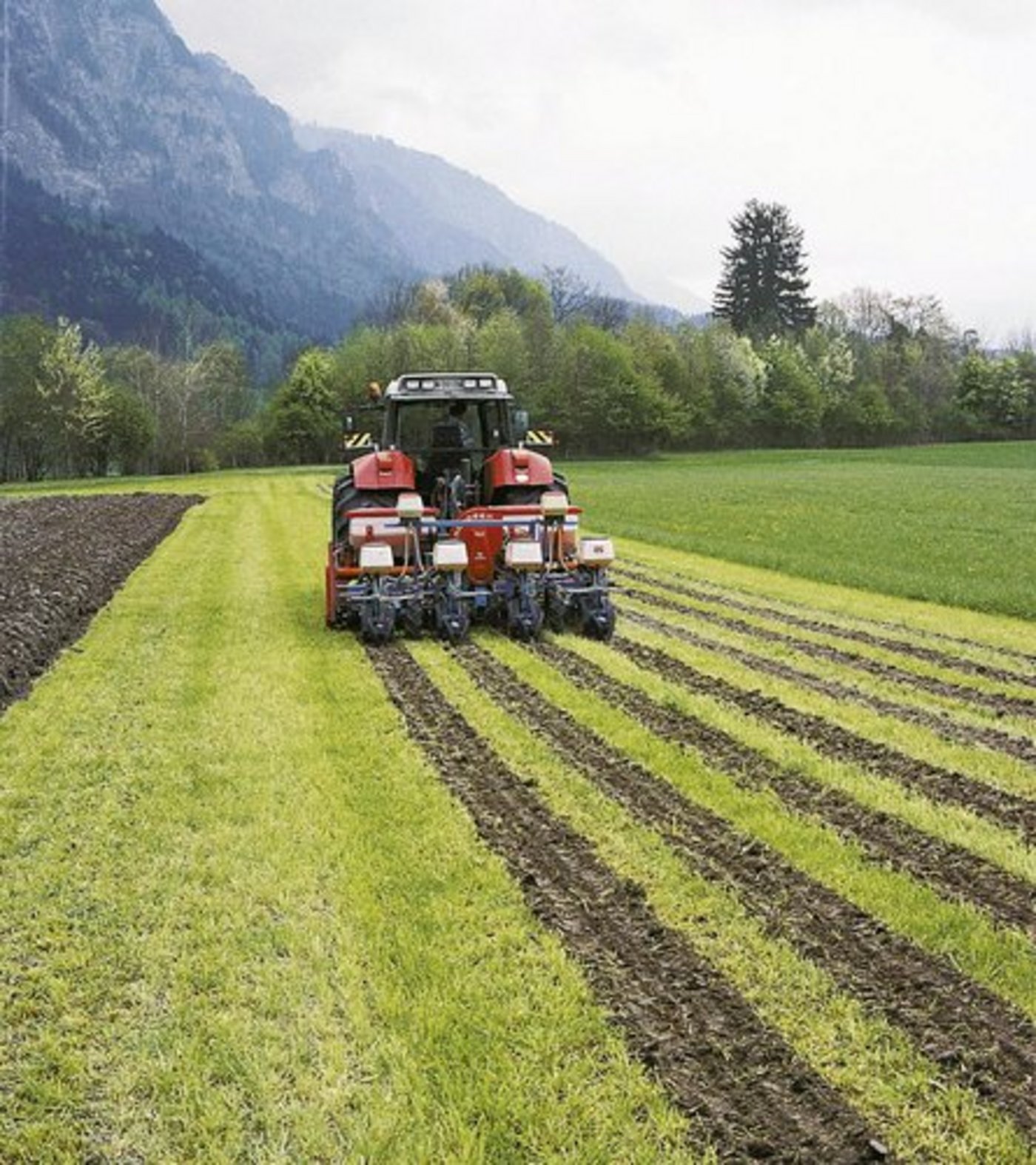 Die Streifenfrässaat ist eine Schweizer Technik. (Bild: lid)