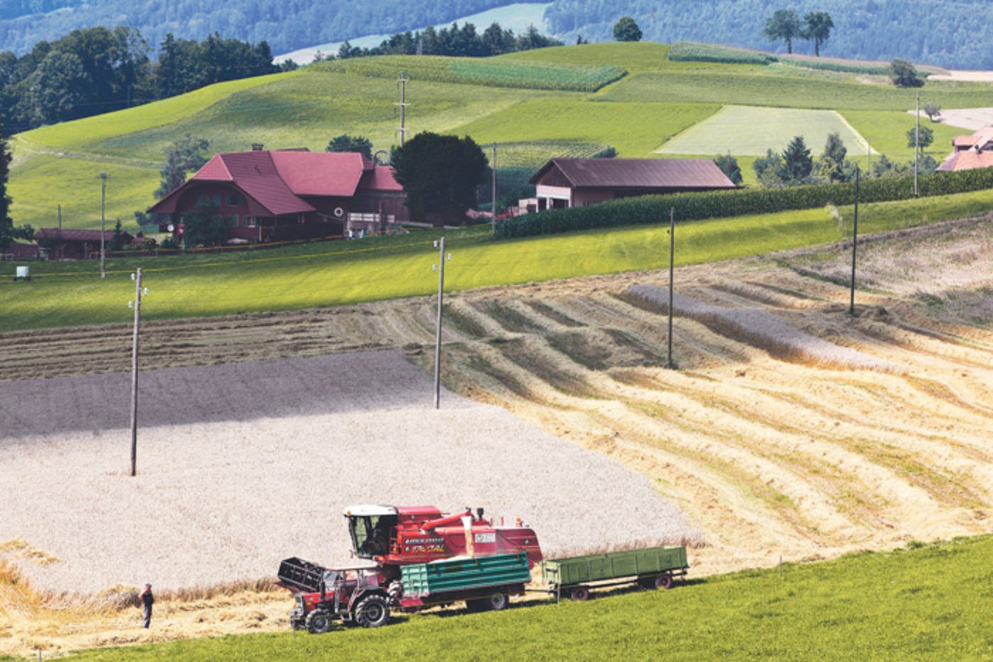 Bessere Aussichten für produzierende Landwirtschaft? Beim Bund scheint die klassische landwirtschaftliche Leistung höher im Kurs zu sein, als auch schon. (Bild Keystone)
