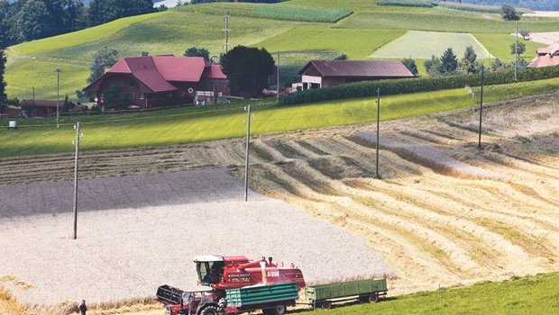 Bessere Aussichten für produzierende Landwirtschaft? Beim Bund scheint die klassische landwirtschaftliche Leistung höher im Kurs zu sein, als auch schon. (Bild Keystone)