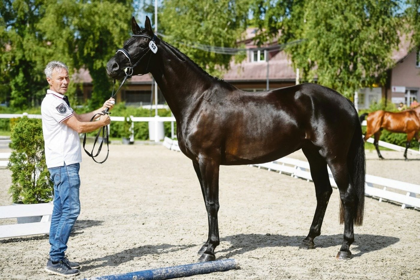 Fara CB, eine dreijährige Dressurstute, an der Hand von Züchter Christian Bürki. (Bilder Sacha Jacqueroud)