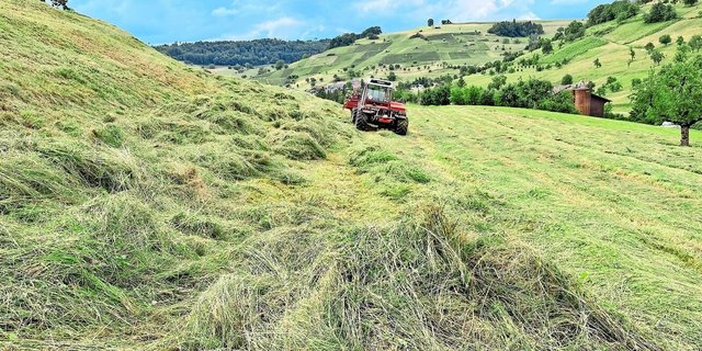 Grosse Mengen an altem Futter. Die nassen Bodenverhältnisse werden die Arbeit noch zusätzlich erschweren. Bild von Anfang Woche aus dem Fricktal.