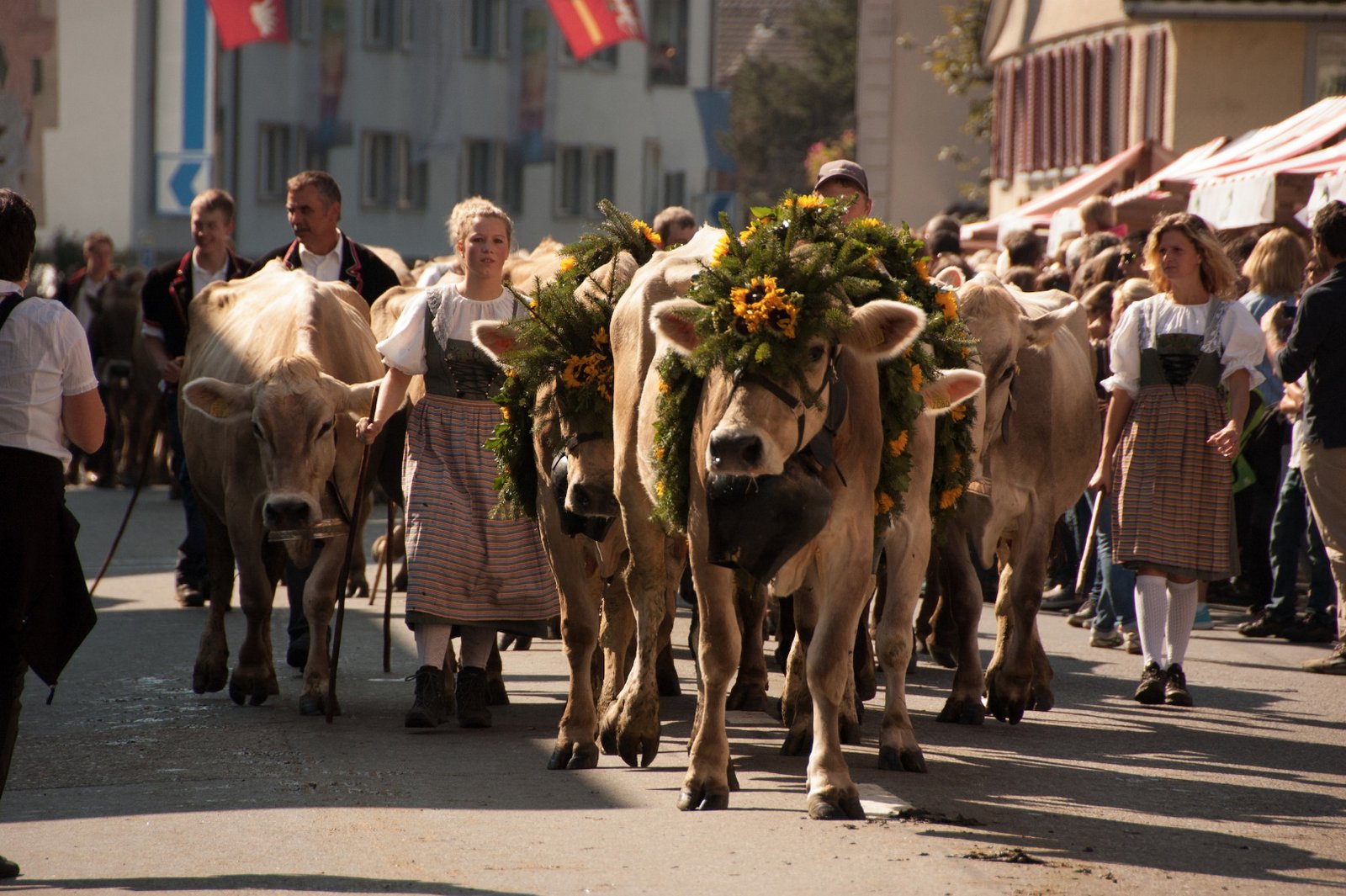 Entlebucher Alpabfahrt - bauernzeitung.ch | BauernZeitung