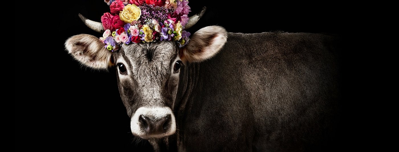 Die 77. Olma ist vorbei. (Bild Facebook Olma-fanpage)