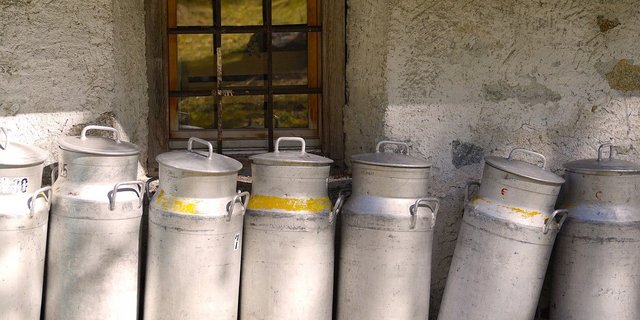 Während der Milchpreis-Vergleich im August für die Produzenten gut aussah, zeigt sich im September ein anderes Bild. (Bild pixabay)