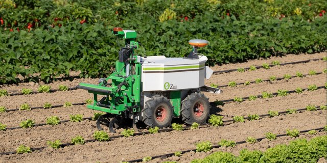 Naïo Oz ist 130 Zentimeter lang, 47 Zentimeter breit und 150 kg schwer. Der Roboter fährt maximal 1,8 km/h, schafft laut Angaben des Herstellers 1000 m2 pro Stunde und hat eine Zugkraft von 300 kg.  (Bilder Naïo Technologies)