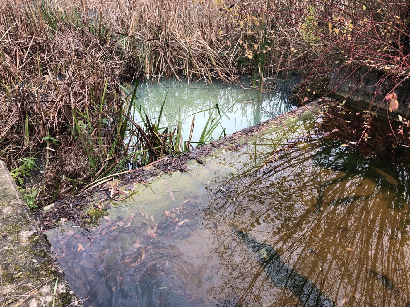 Eine unbestimmte Menge Diesel gelangte am letzen Mittwoch in das Rückhaltebecken von Givisiez. (Bild Kanton Freiburg)
