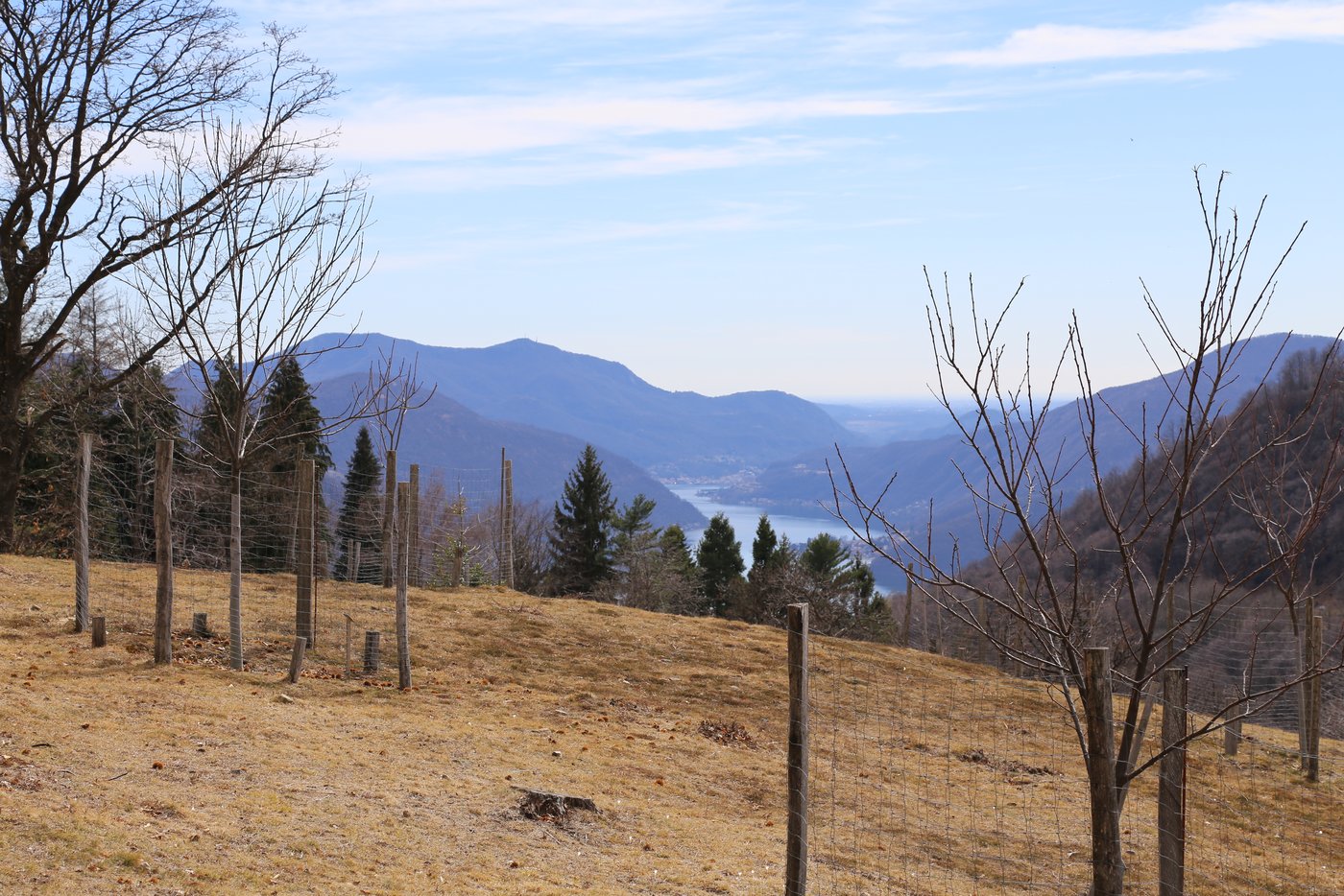 Bereits seit dem Jahre 0 gibt es im Tessin Kastanien-Bäume.