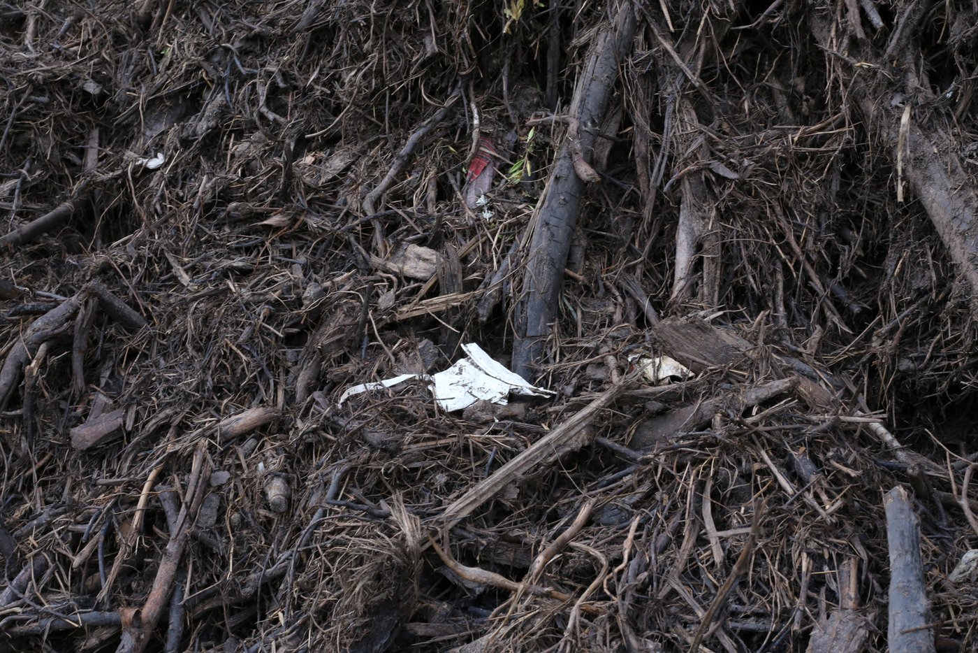 "Fremdstoffe im Grüngut sind ein Riesenproblem", sagt Rainer Bossert. 