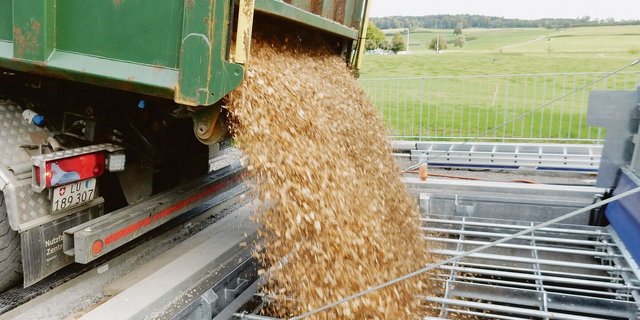 Seit diesem Winter wird in Hohenrain einheimische Energie eingefüllt. Geheizt wird neu mit Holzschnitzeln.  