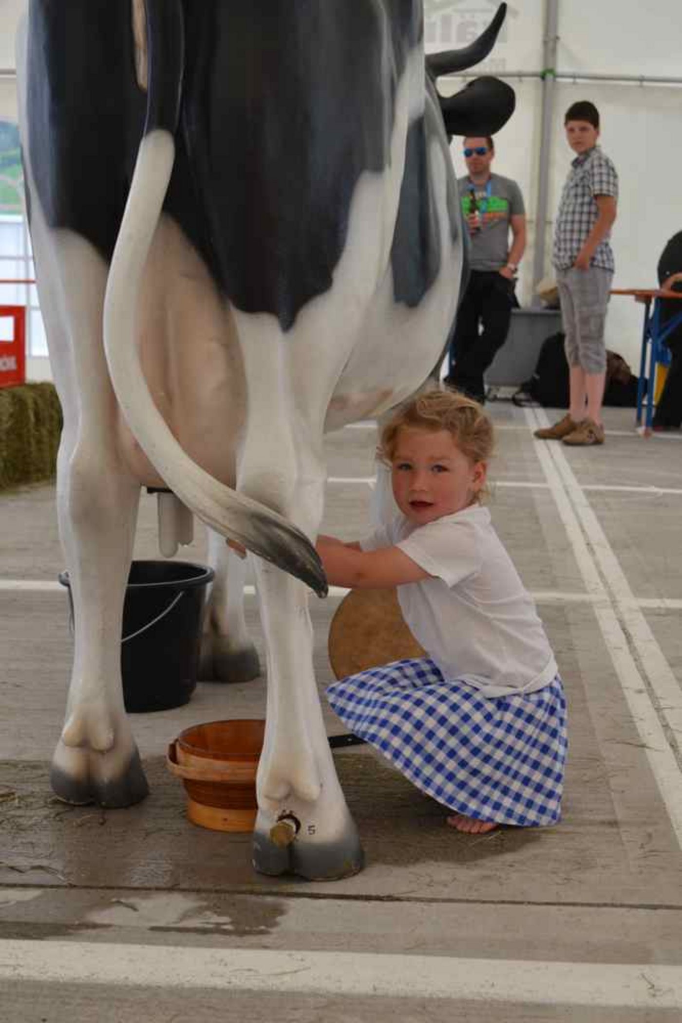 An Nachwuchs fehlt es nicht Teilnehmerin an der Milchmeisterschaft.