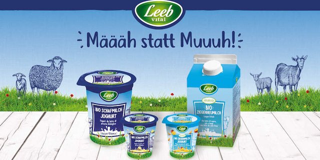 Der österreichische Ziegenmilchverarbeiter setzt auf Molkerei- und Frischprodukte aus Bio-Ziegenmilch und Bio-Schafmilch. (Bild Leeb)