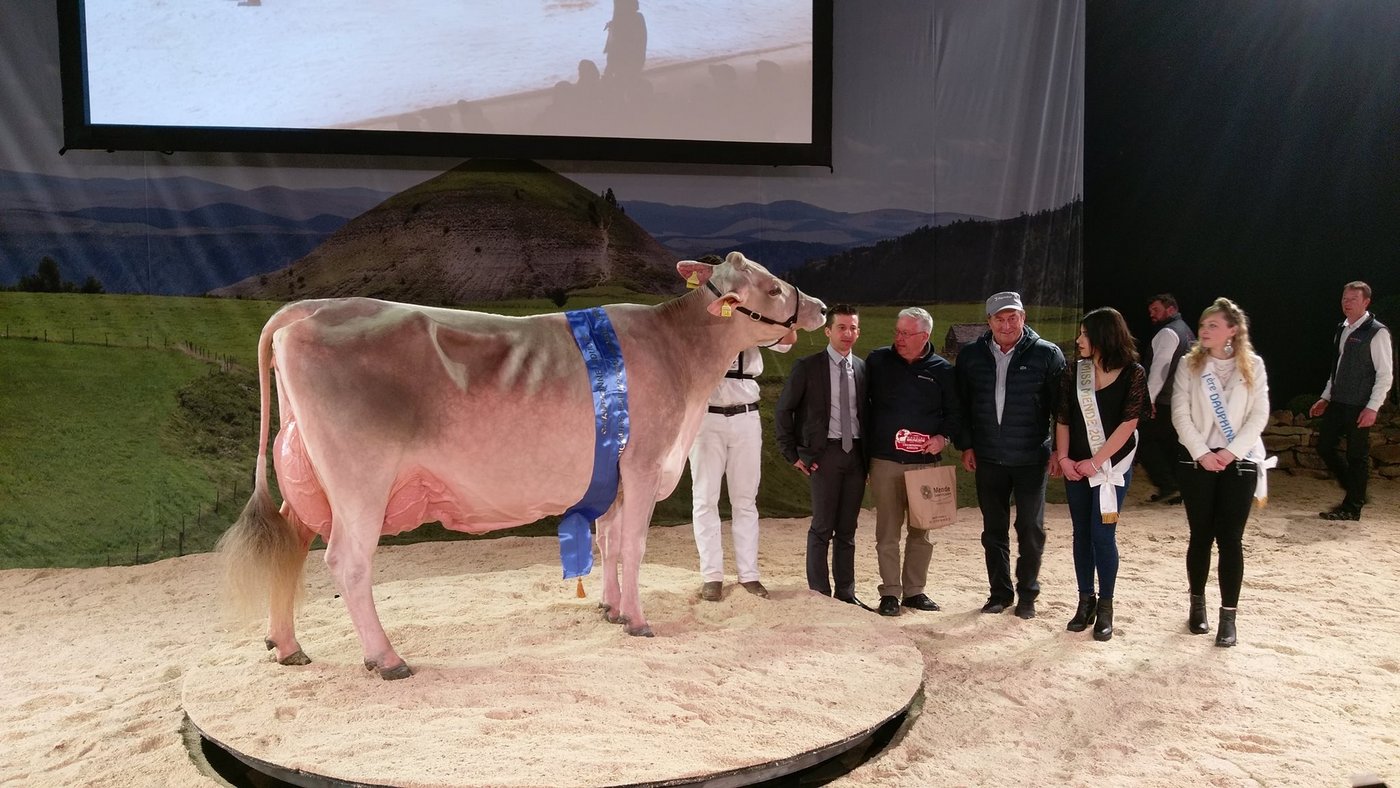 Grosse Triumphatorin: Zeus Palma aus dem Stall des Plantahofs in Landquart GR. (Bild Braunvieh Schweiz)