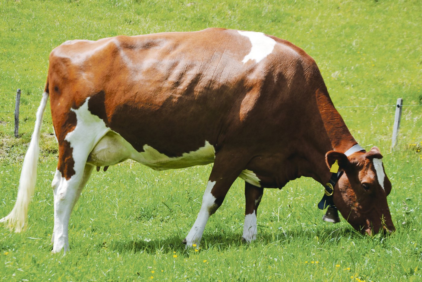 Die wunderschöne Kilian Kischa in ihrem «Werktagskleid». 