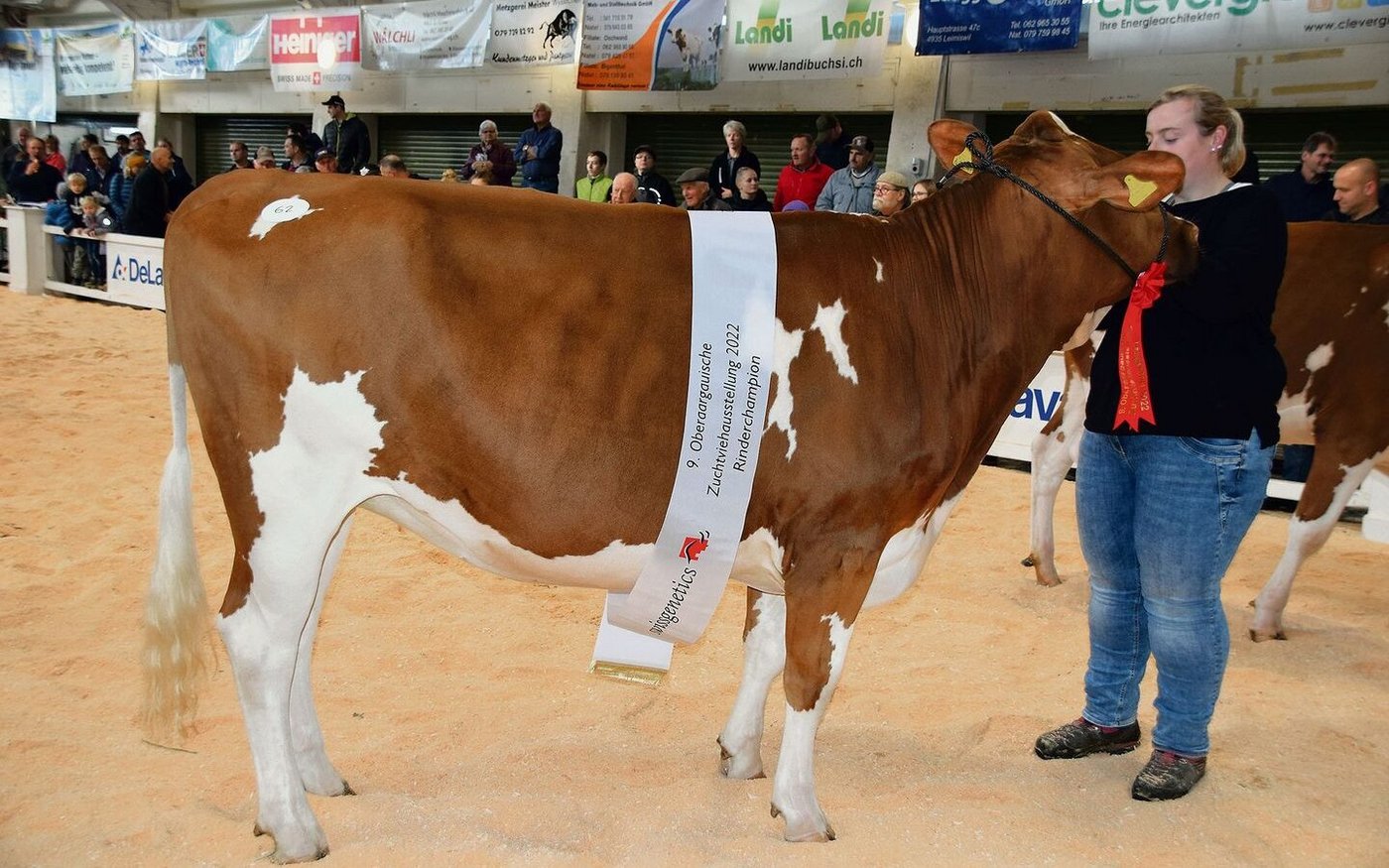 Über alle Rassen gewann das SF-Rind Flüsta Ursjn Ladina von Melanie Flückiger, Oeschenbach, den Championne-Titel bei den Rindern.