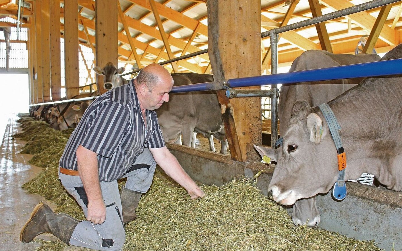 ​​​​​​​Für Franz Sigrist ist klar: «Fressen, Liegen, Melken. Das sollen die Haupttätigkeiten unserer Kühe sein.»