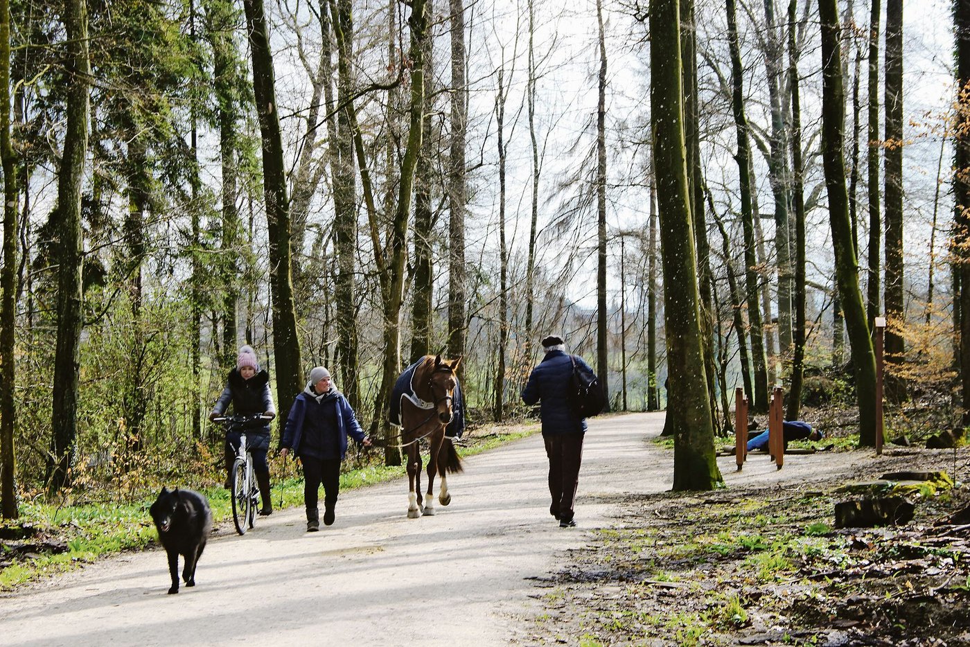 Wald tut gut. Seit der Covid-19-Pandemie bewegen sich gegen viermal mehr   Menschen als üblich im Allschwiler Wald.
