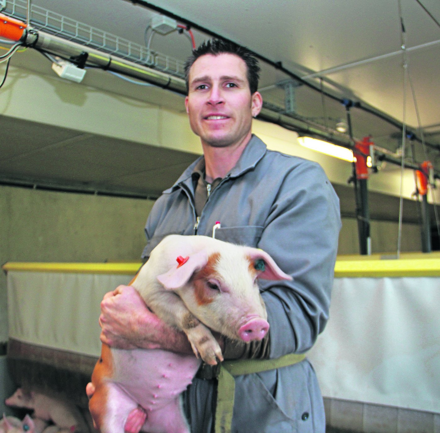 Peter Anderhub freut sich an gesunden Ferkeln in seinem neuen Hightech-Stall. Tierwohl und Hygiene sind ihm absolut wichtig. (Bild Hans Rüssli)