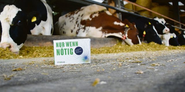 Antibiotika sollte nur so viel wie nötig, und so wenig wie möglich eingesetzt werden.(Bild BauZ)
