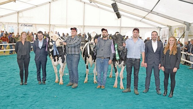 Senior HO (v. l. n. Senior HO (v. l. n. r.): Reserve: Heiterberg’s Aftershock Black Pearl; Miss: Le Paigre Applicable Atlanta; Mention: Meiender Mogul Melinda.