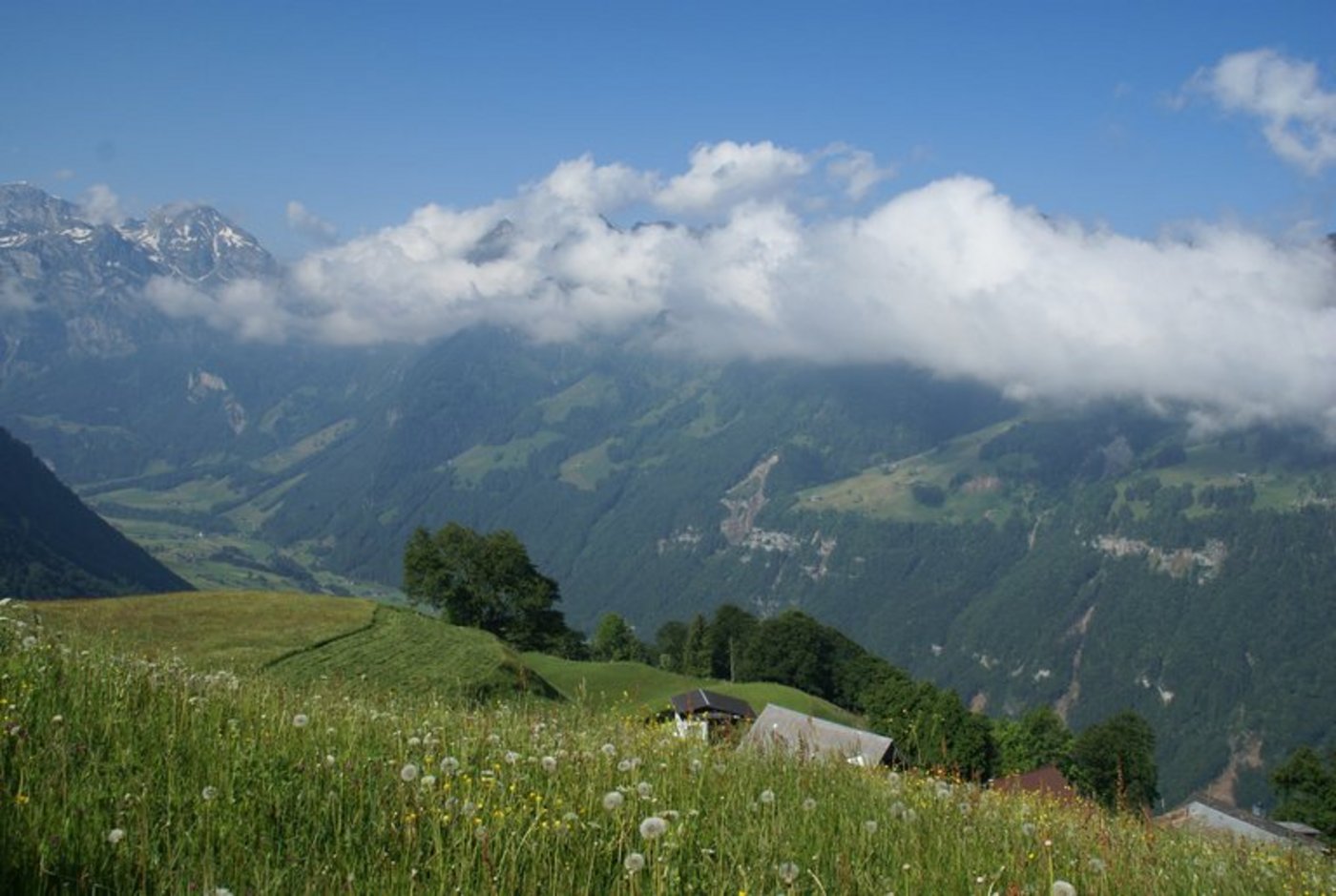 Ohne Anpassung könnten 20 bis 30 Nidwalder Betriebe ihren Gewerbestatus verlieren. (Bild if)