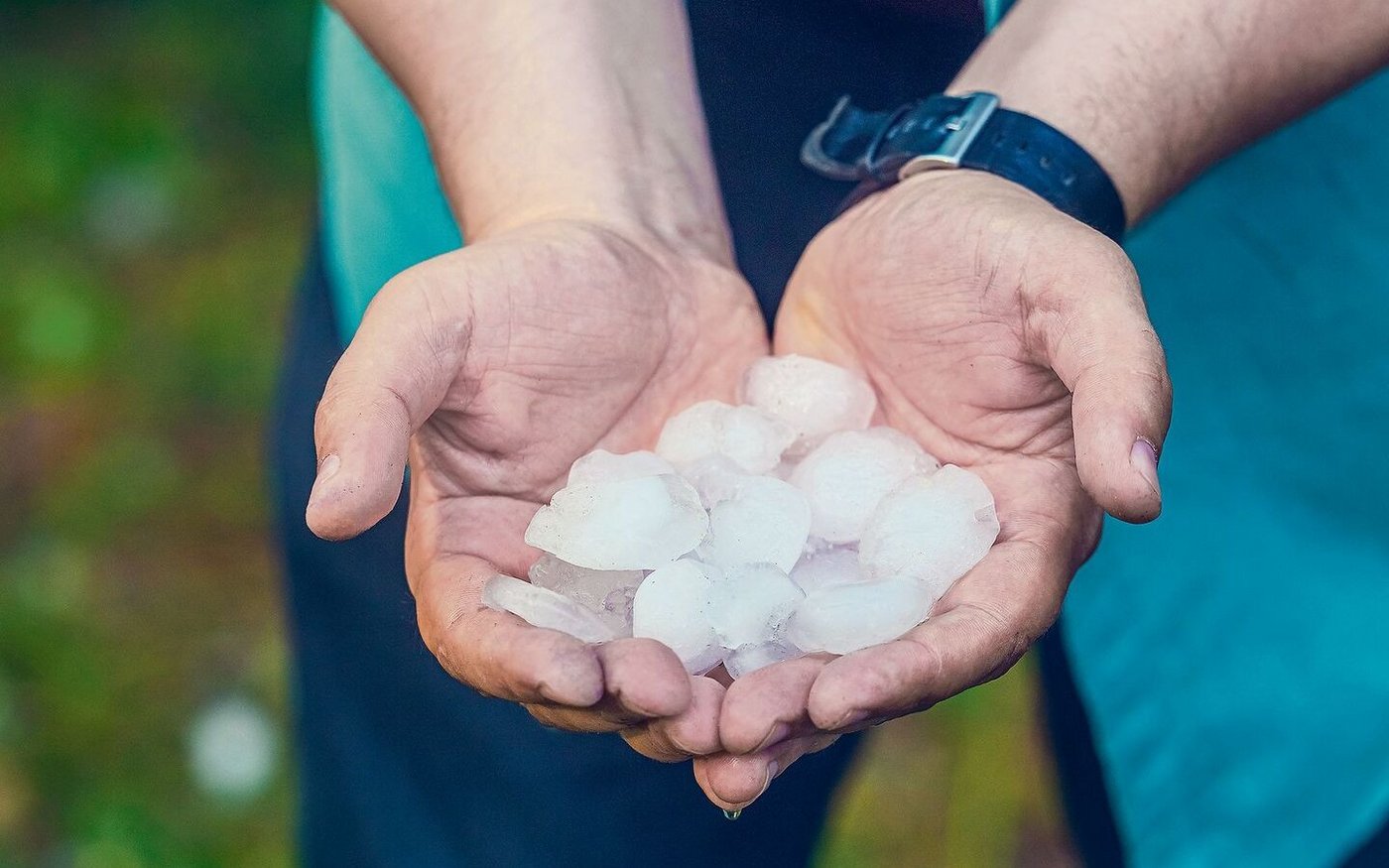 Hagel ist kein seltenes Bild mehr in der Schweiz. 2021 war ein Rekordjahr. Auch heuer führte Hagel gebietsweise zu grossen Schäden an Ackerkulturen. 