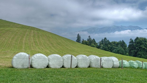 Die Folien von Siloballen werden immer noch selten recycelt. (Bild Hermann Limacher/landwirtschaft.ch) 