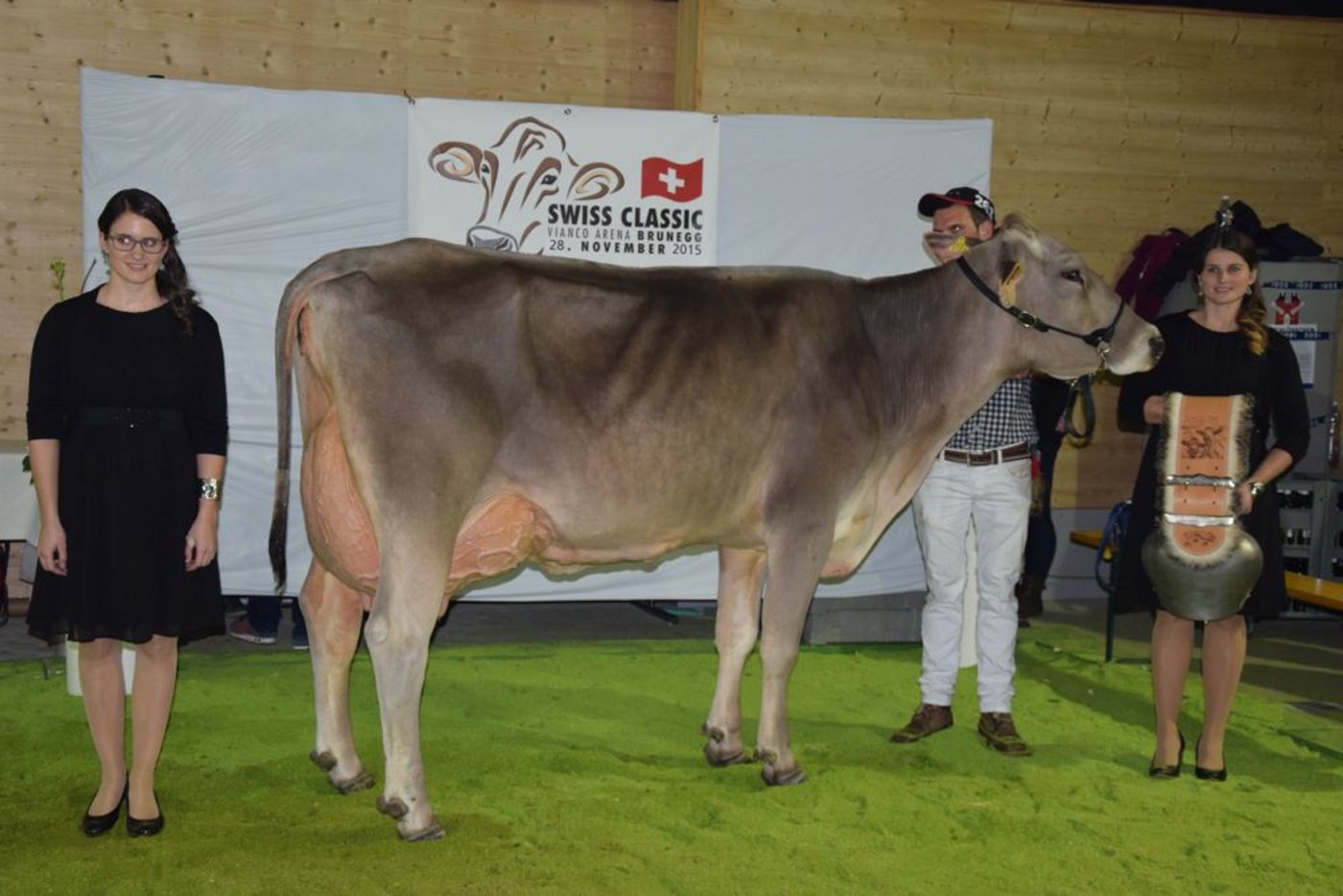 Sun Valley Jet Jamaica hat das schönste Euter bei den älteren Kühen. Sie gehört Christian Schneider aus Schwendi SG.