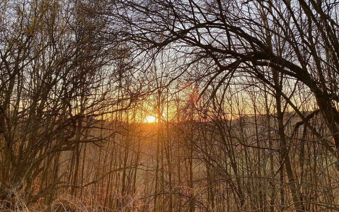 Leuchtet hier etwa schon die Frühlingssonne durchs Gehölz? Zumindest in den nächsten Tagen bleibt es warm, gegen Ende des Monats zeichnet sich jedoch ein erneuter Kälteeinbruch ab. 