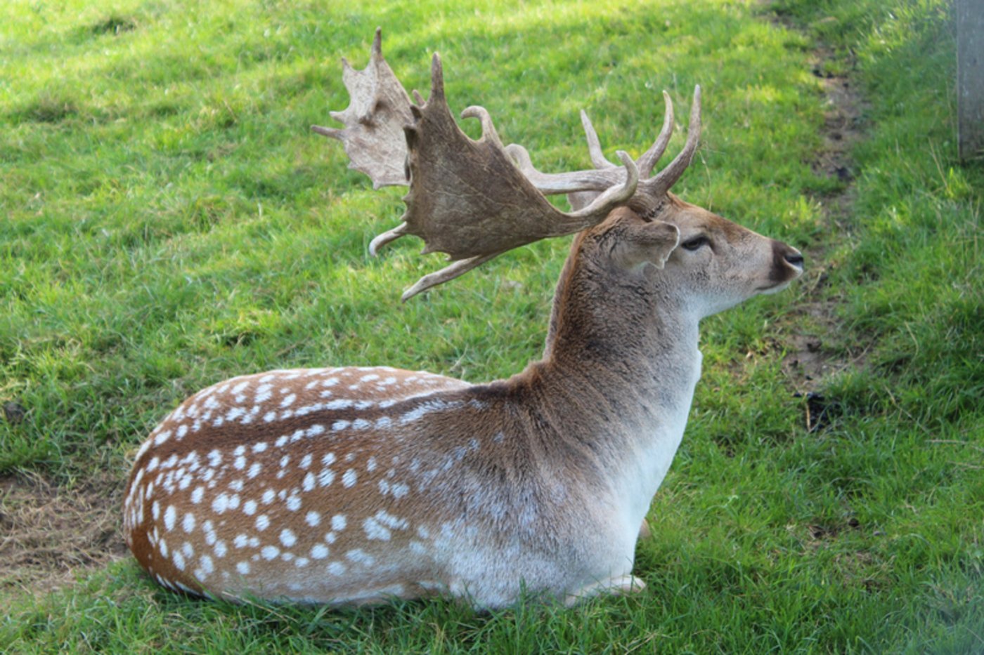 Der siebenjährige Prinz wurde ebenfalls – wie Rosalie – mit der Flasche ausgezogen.