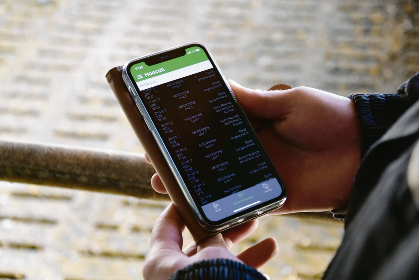 Per SMS oder der gleichnamigen App «Moocall» wird der Landwirt informiert, wann die Geburt beginnt.