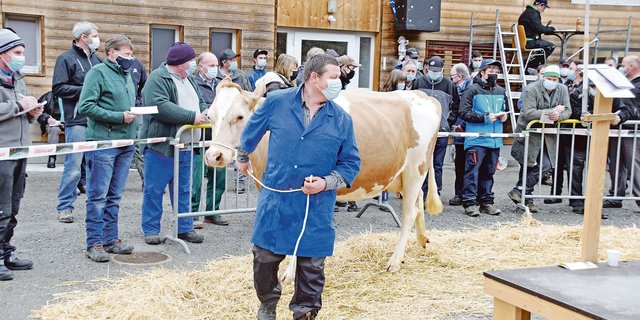 Die sehr gut ausgewiesene Bio-SF-Kuh Killian Nelli von Bernhard Wüthrich aus Trub war mit 4400 Franken das teuerste Tier an der Auktion. (Bilder Peter Fankhauser)