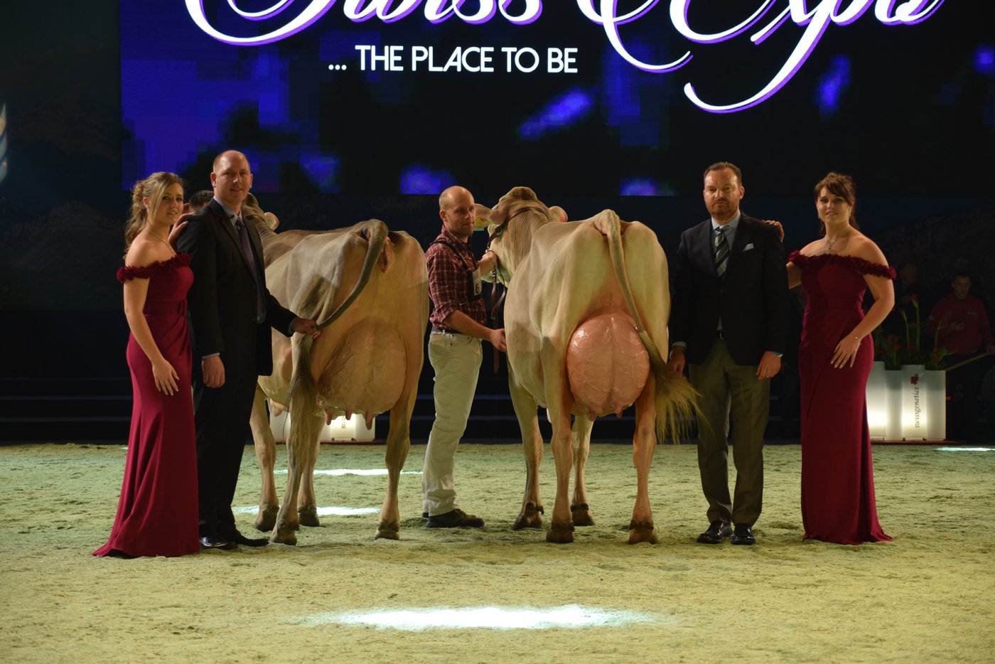 Senior Schöneuter-Champion (rechts): Glenn Laos, Nicola Pedrini, Airolo Vize-Schöneuter (links): Tschudenhaus Big Boy Polly, Franz und Pascal Felder, Marbach