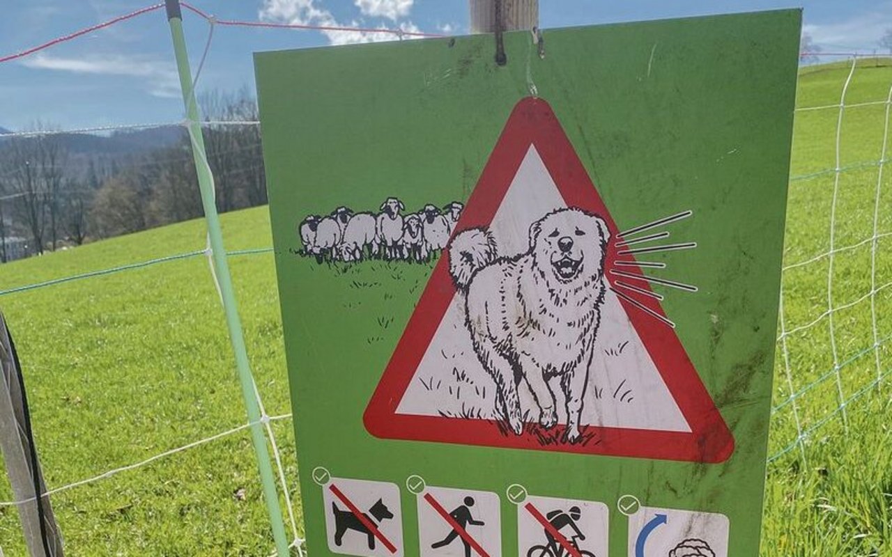 Grüne Schilder warnen Wanderer und Biker, dass hier Herdenschutzhunde an der Arbeit sind. 