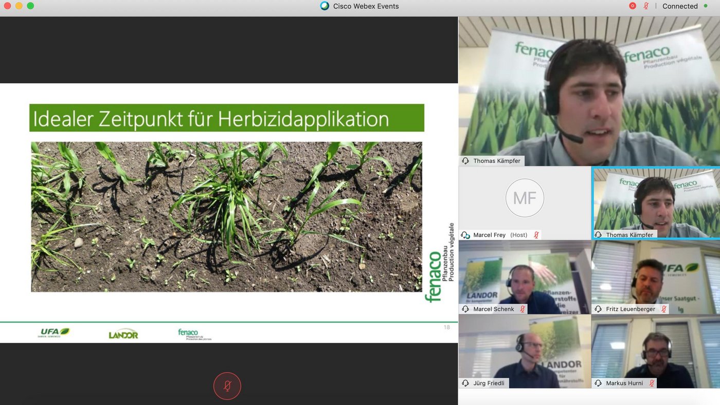 Die Fenaco-Landi-Gruppe musste aufgrund der Corona-Krise ihre traditionellen Flurbegehungen absagen. Dafür fand online ein Webinar statt mit den Beratern der Fenaco, Landor und UFA-Samen. (Screenshot Katrin Erfurt)