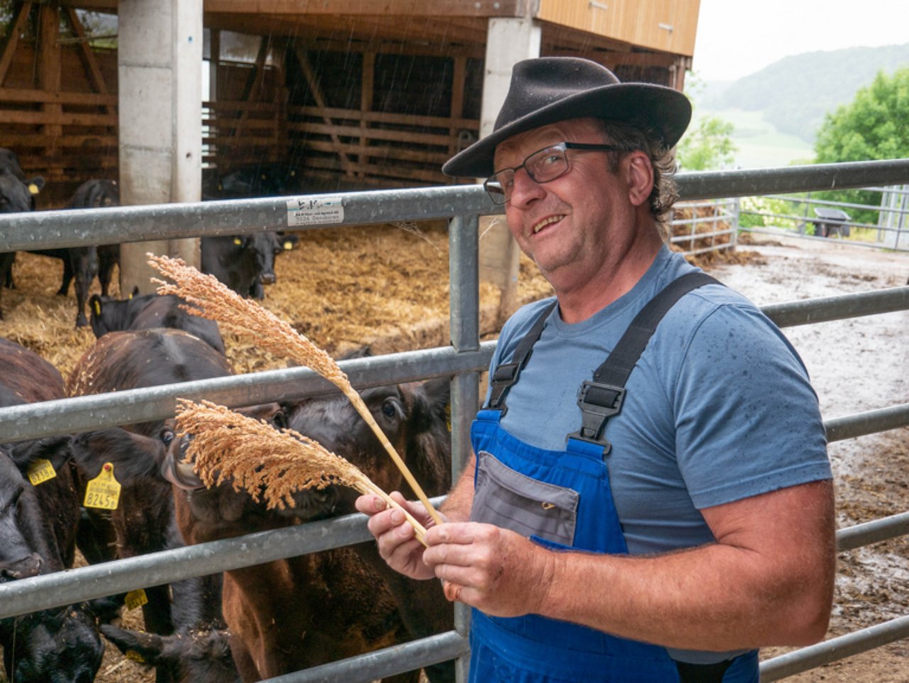 Stefan Zumsteg mit einer Sorghum-Rispe aus der letztjährigen Ernte. Er verfüttert sie siliert an seine Kühe. (Bild David Eppenberger)