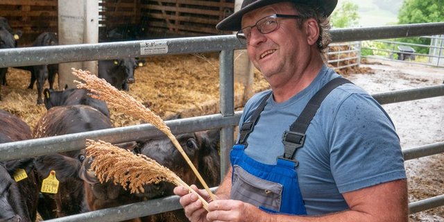 Stefan Zumsteg mit einer Sorghum-Rispe aus der letztjährigen Ernte. Er verfüttert sie siliert an seine Kühe. (Bild David Eppenberger)