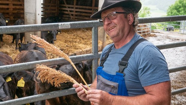 Stefan Zumsteg mit einer Sorghum-Rispe aus der letztjährigen Ernte. Er verfüttert sie siliert an seine Kühe. (Bild David Eppenberger)