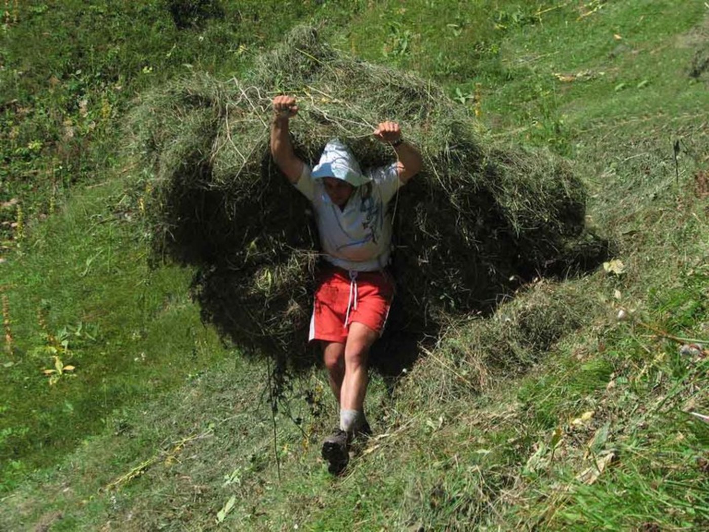 Wildheuen erfordert viel Muskelkraft. (Cornelia Schenk/landwirtschaft.ch)