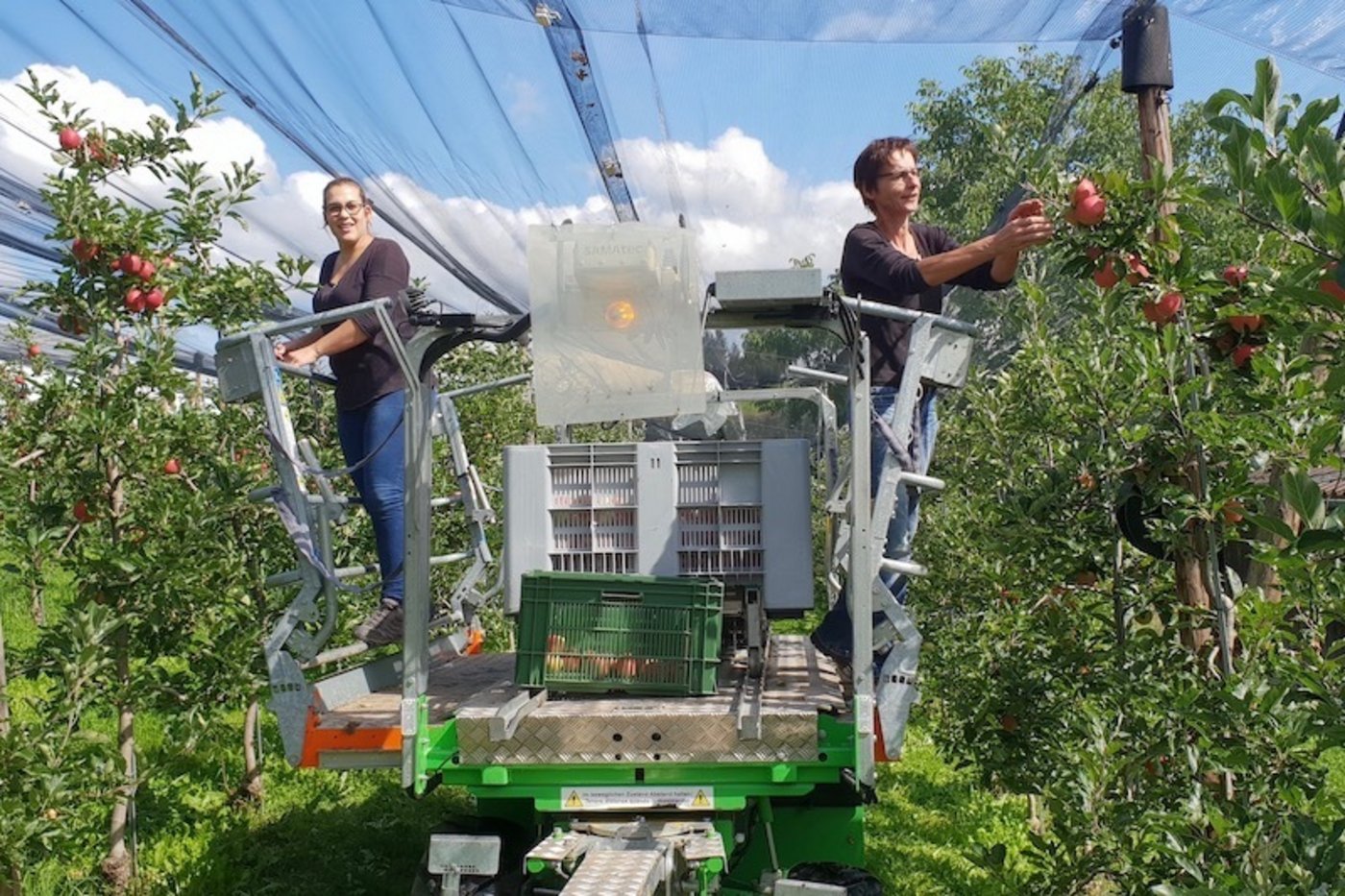 Tina (links) und Heidi Messerli auf der Hebebühne. Im oberen Drittel wachsen die schönsten Früchte. (Bild zVg)