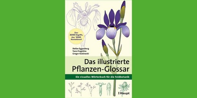 Bereits das Buchcover ist hübsch illustriert. (Bild Haupt Verlag)