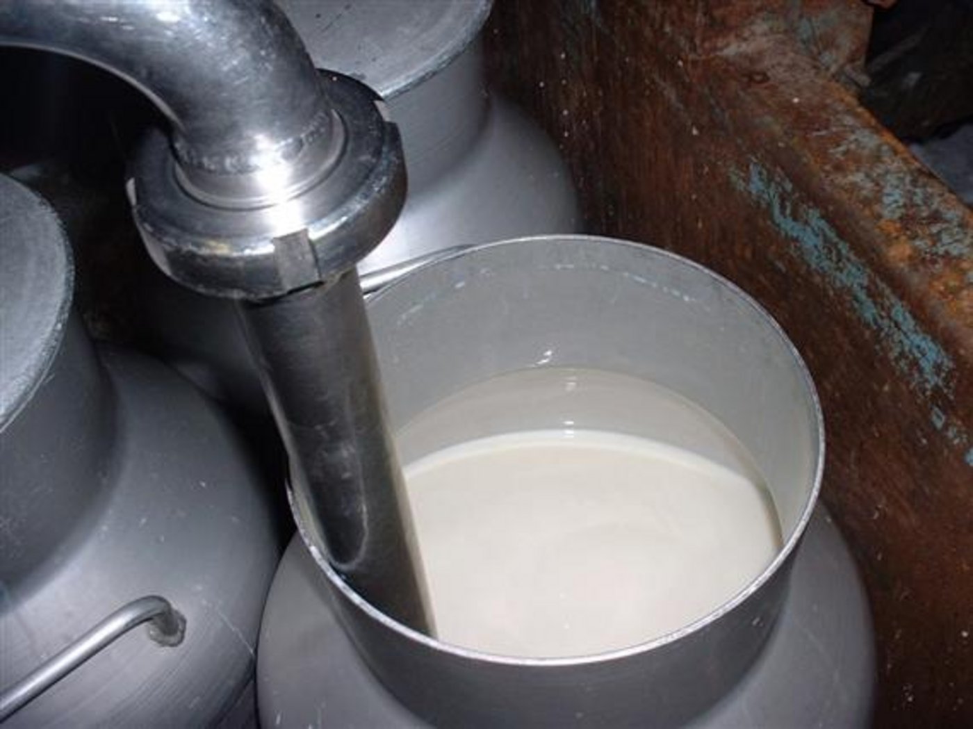 Für C-Milch gilt aktuell ein Richtpreis von 16,7 Rappen, für B-Milch 45,4 Rappen je Kilo Milch. (Bild BauZ)