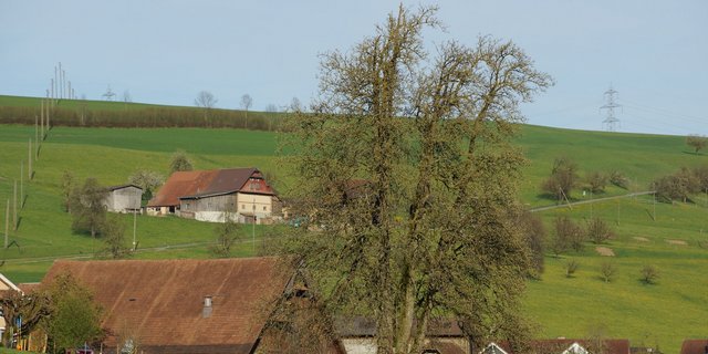 Die Albert Koechlin Stiftung engagiert sich mit drei neuen Projekten für die Zentralschweizer Landwirtschaft. (Archivbild BauZ)