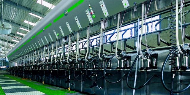 Melkstand des deutschen Maschinenbauers GEA. Bild: zVg