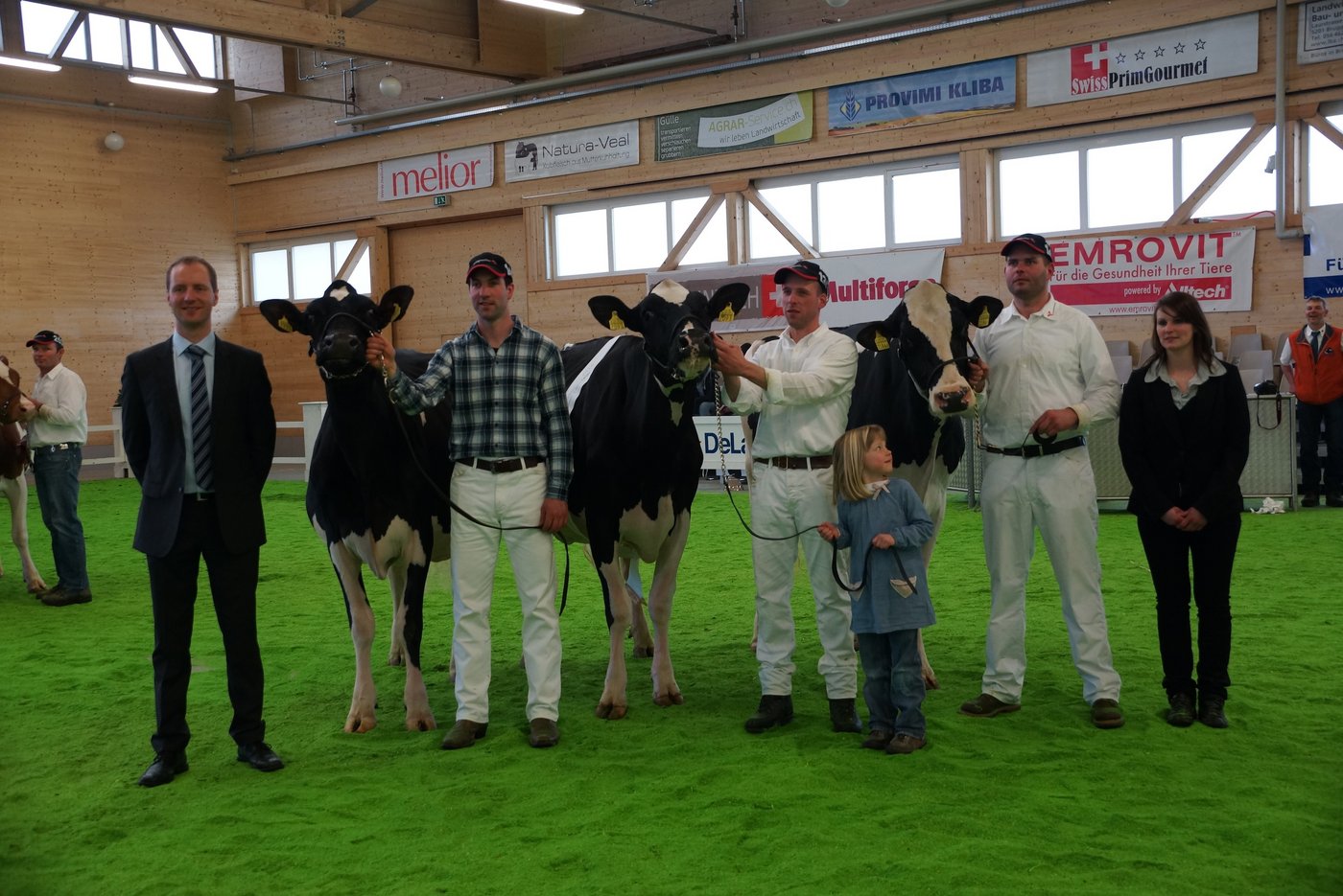 Ueli Bürkli stellte auch die Holstein-Miss Xtreme Nana und Vize-Miss Elia-Vry Haire, Anton Ender die Mention Honorable Demolish Lady Lay.