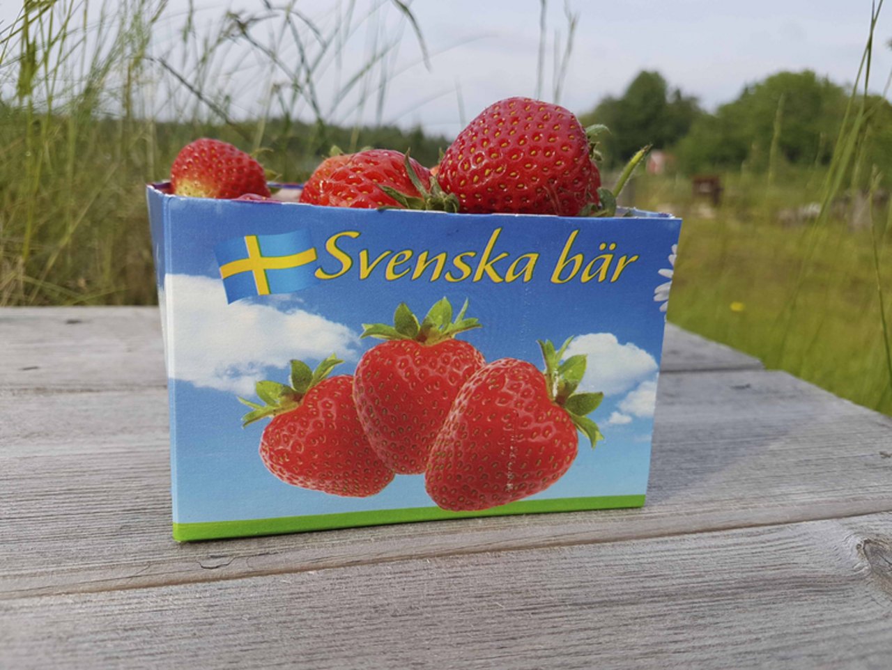 Für inländische Erdbeeren greifen die Schweden gerne tiefer ins Portemonnaie. (Bild lid / ji)