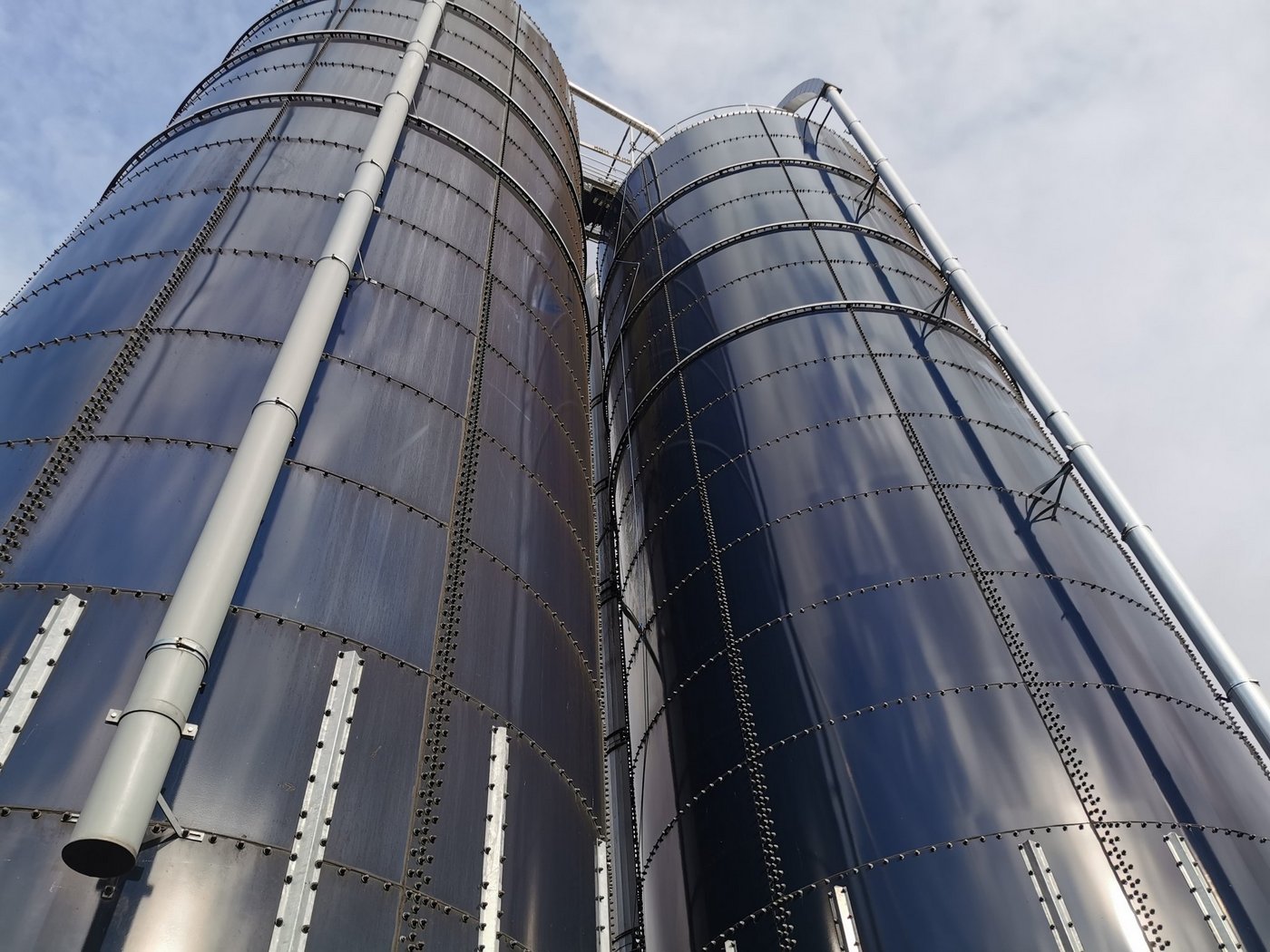 Die Hochsilos leeren sich allmählich. Bei der Entnahme der Silage kommt die oberste Schicht mit Luft in Kontakt. Nimmt man nicht genügend Silage ab, können Pilze entstehen. (Bild Simone Barth)