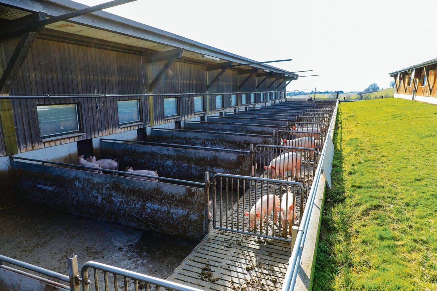 Schon beim Stallbau sollte auf die Sicherheit geachtet werden.(Bild BauZ)