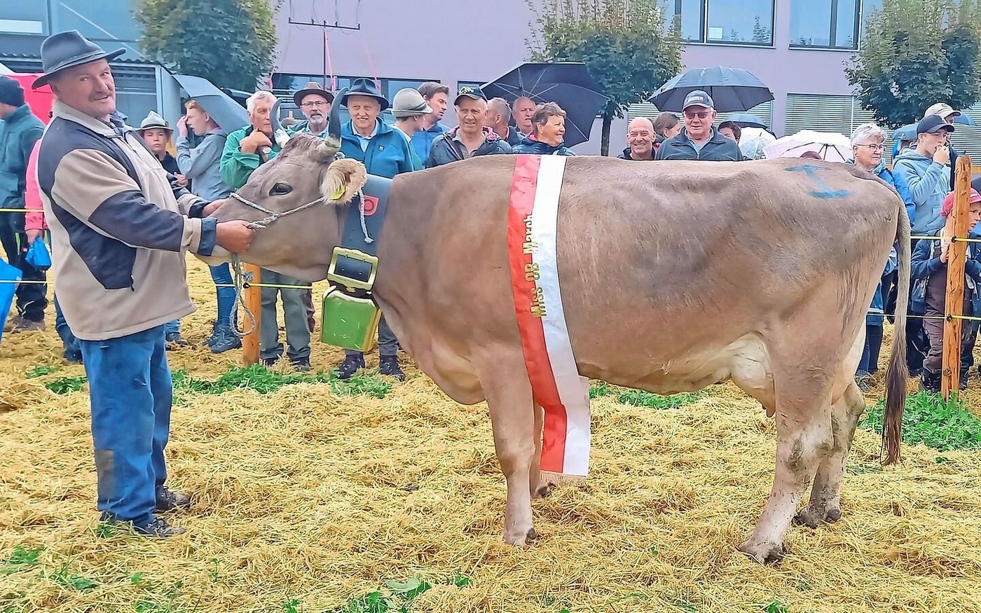Miss OB der Bezirksviehschau March wurde Delwin Atrix von Urs Reichmuth aus Altendorf.