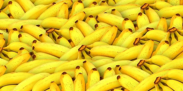 Aus den 1'500 Bananensorten in der Sammlung von Bioversity International sollen neue, resistente Sorten gefunden werden. (pixabay)